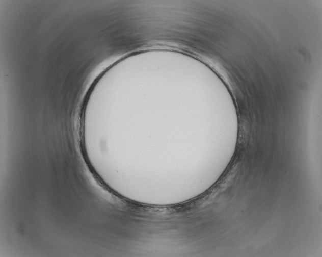 X0000111471003200908241338