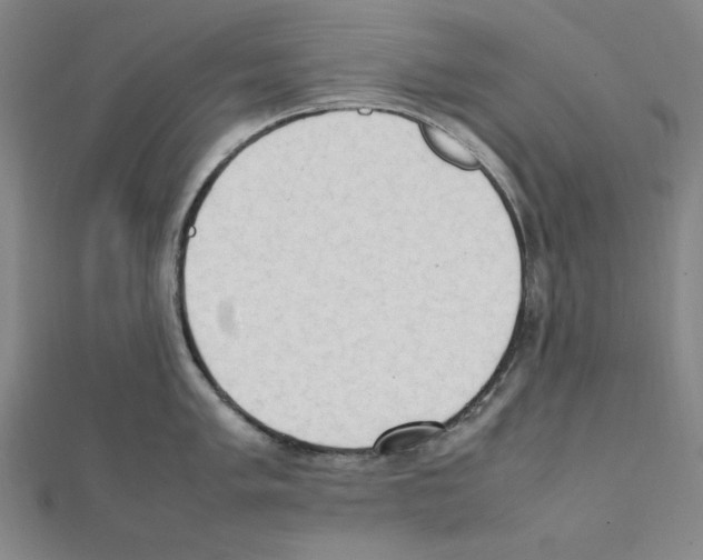 X0000111471005200908241338