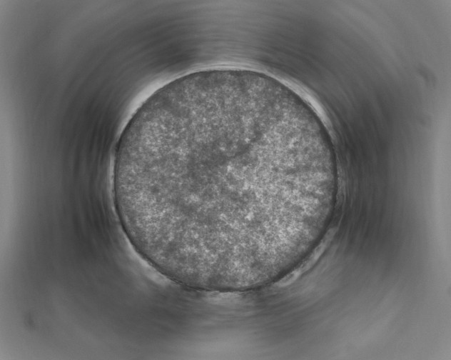 X0000111471006200908241338