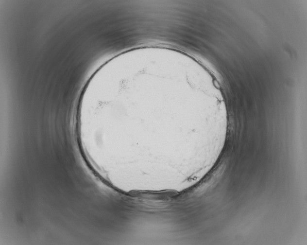 X0000111471007200908241337