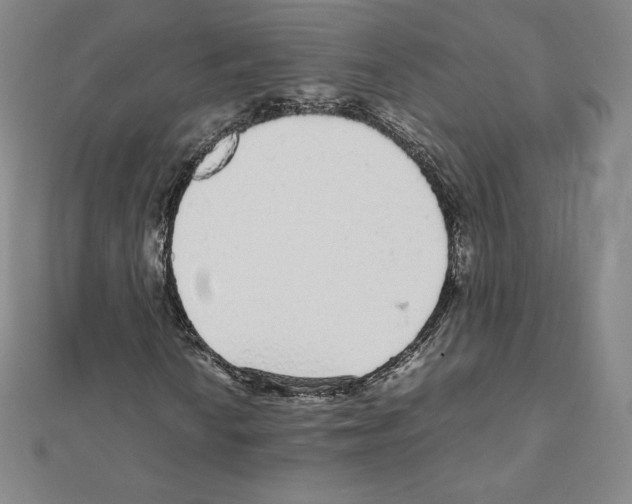 X0000111471010200908241337