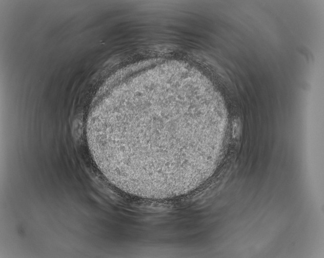 X0000111471011200908241337