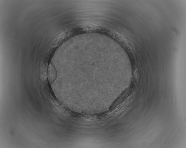 X0000111471012200908241337