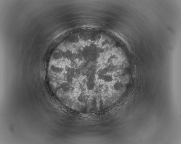 X0000111471015200908241337