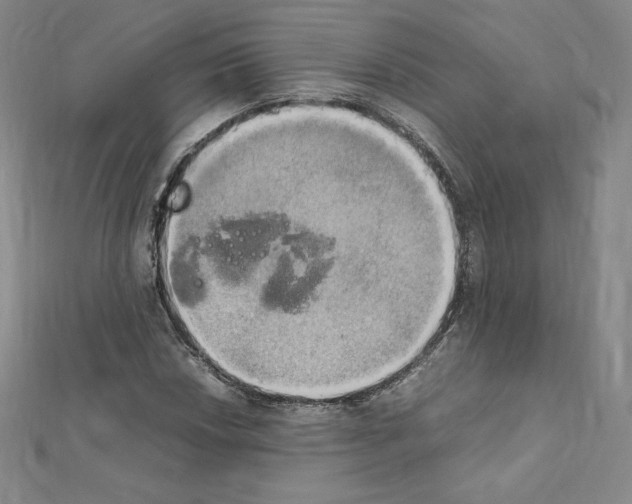 X0000111471018200908241337