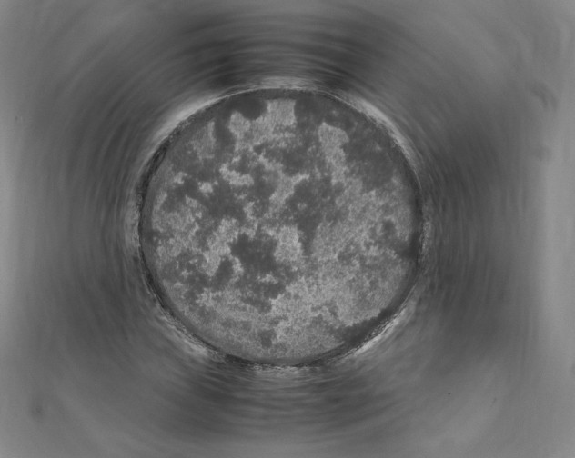 X0000111471019200908241337