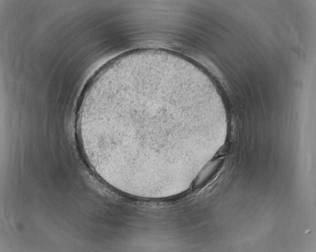 X0000111471020200908241337