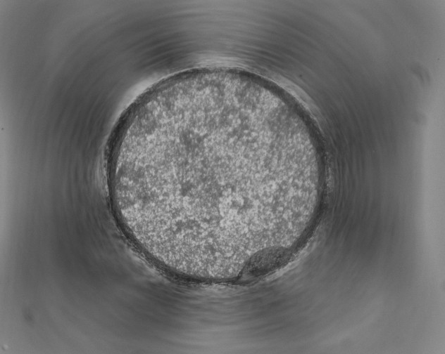 X0000111471022200908241337