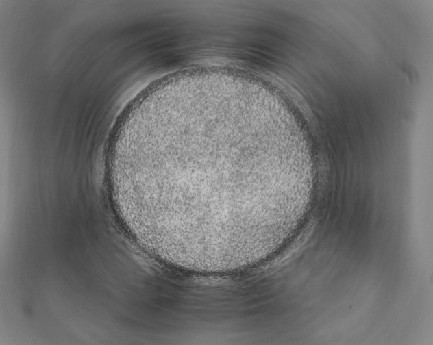 X0000111471023200908241337