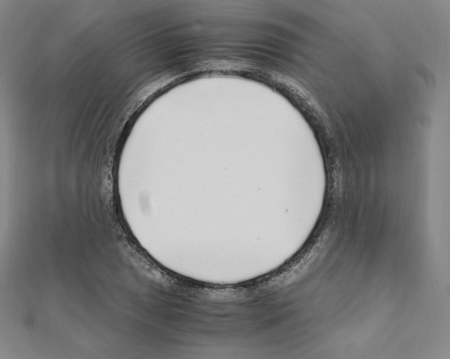 X0000111471025200908241337