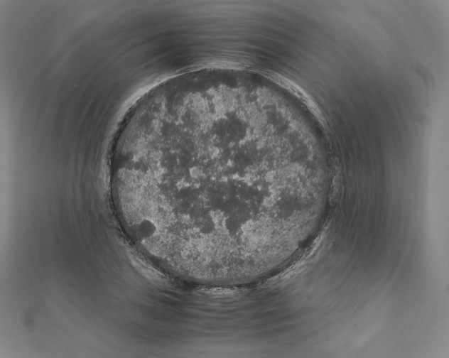 X0000111471027200908241337