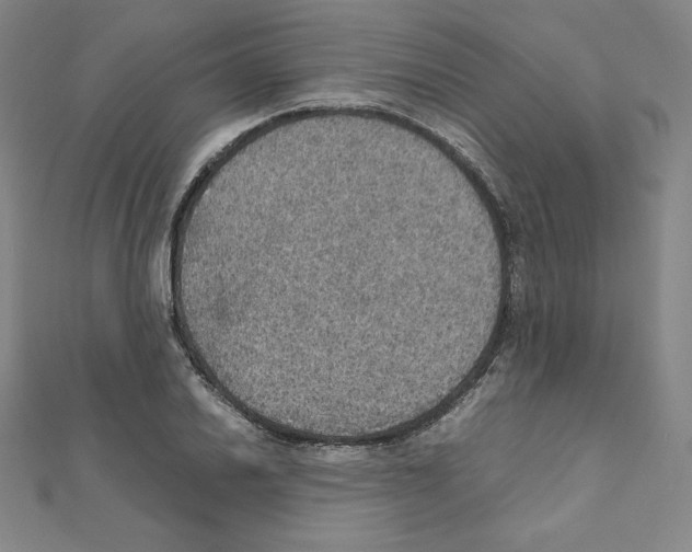 X0000111471030200908241337