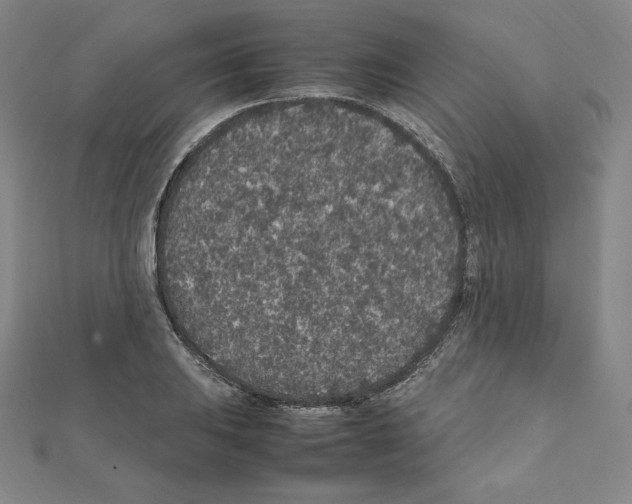 X0000111471031200908241337