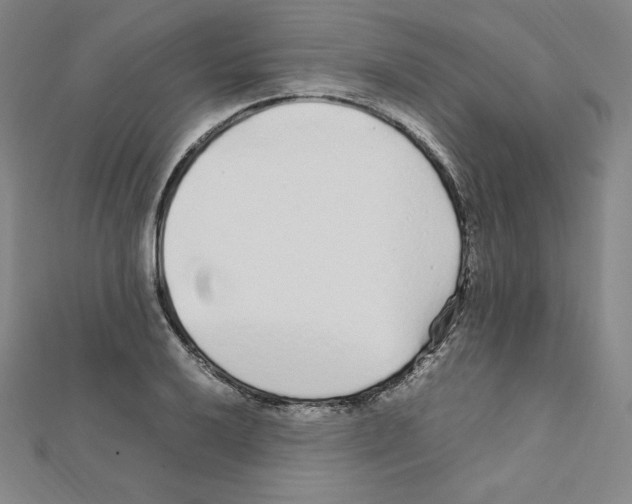 X0000111471032200908241337