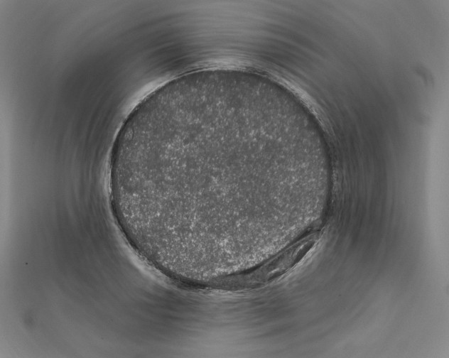 X0000111471034200908241337