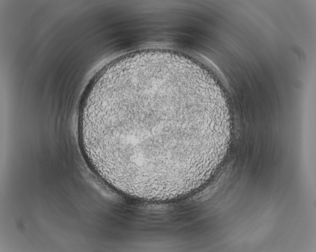 X0000111471035200908241337