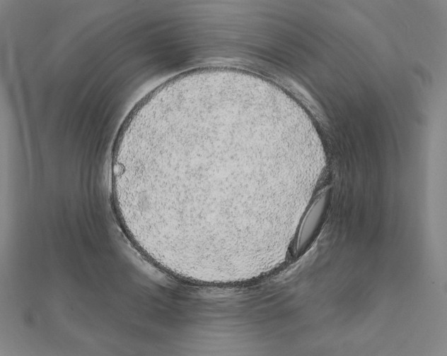 X0000111471036200908241337