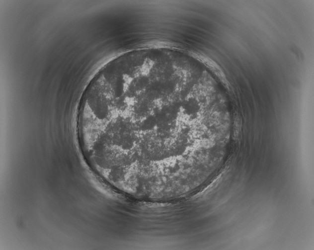 X0000111471039200908241337