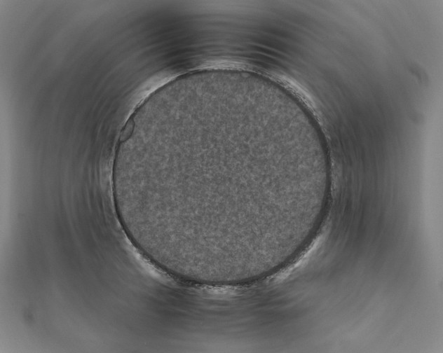 X0000111471041200908241337