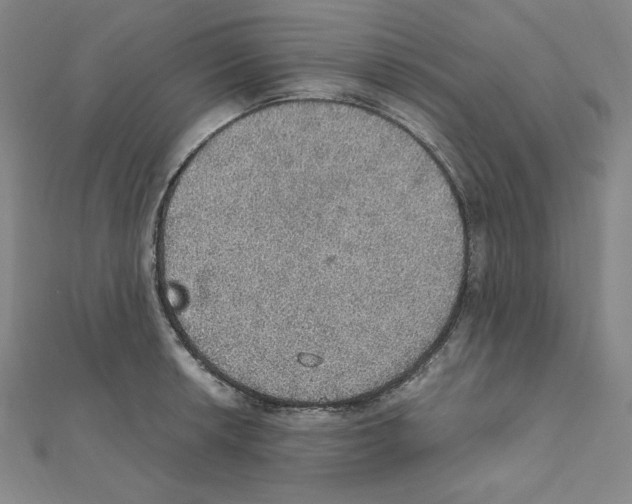 X0000111471042200908241337