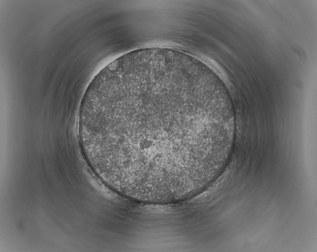 X0000111471044200908241337