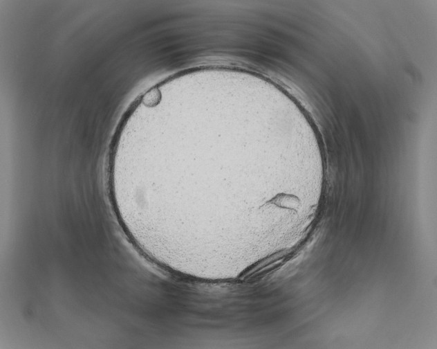 X0000111471045200908241337