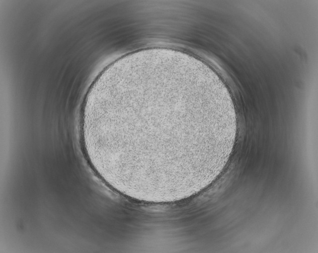 X0000111471048200908241337