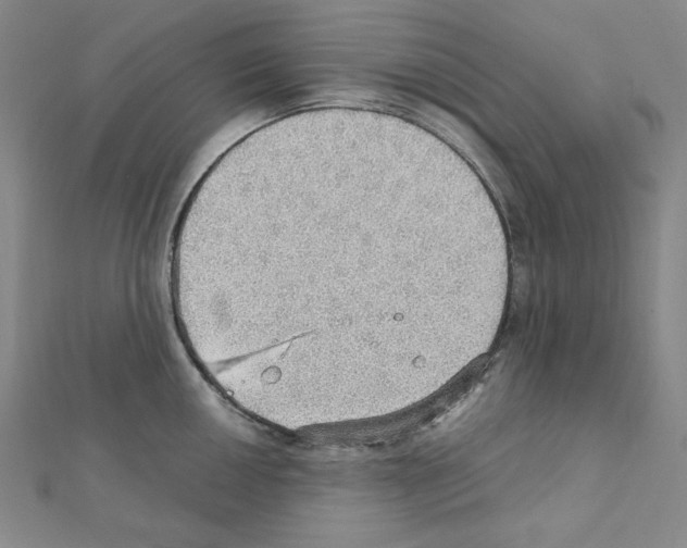 X0000111471050200908241337