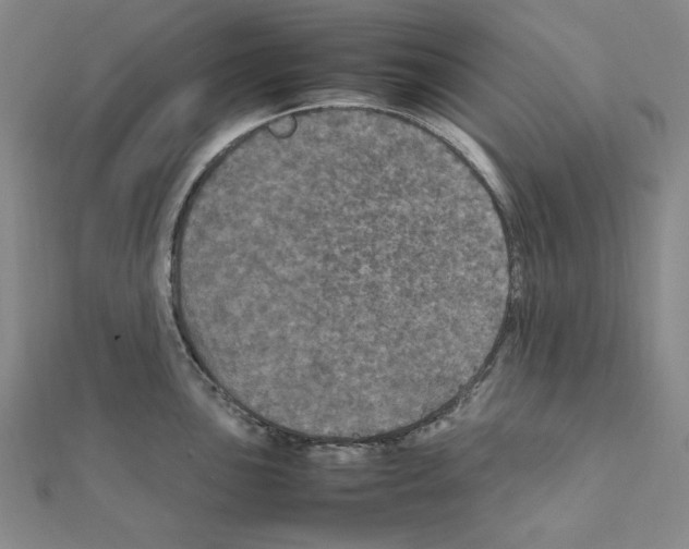 X0000111471051200908241337