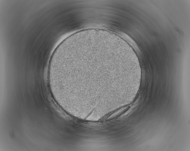 X0000111471052200908241337