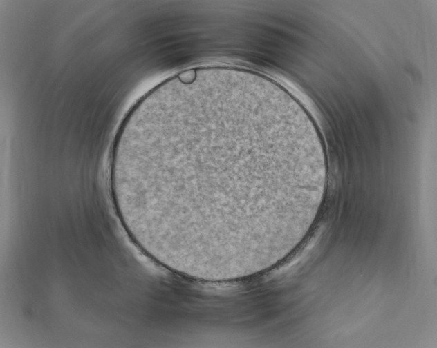 X0000111471053200908241337