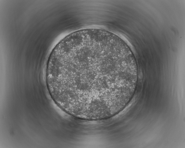 X0000111471054200908241337