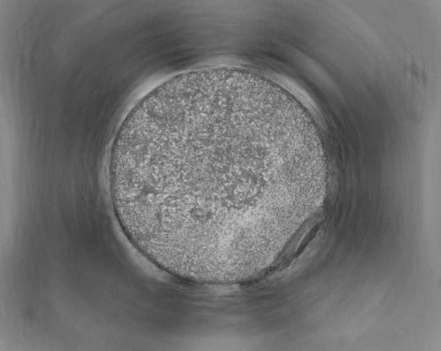 X0000111471055200908241337