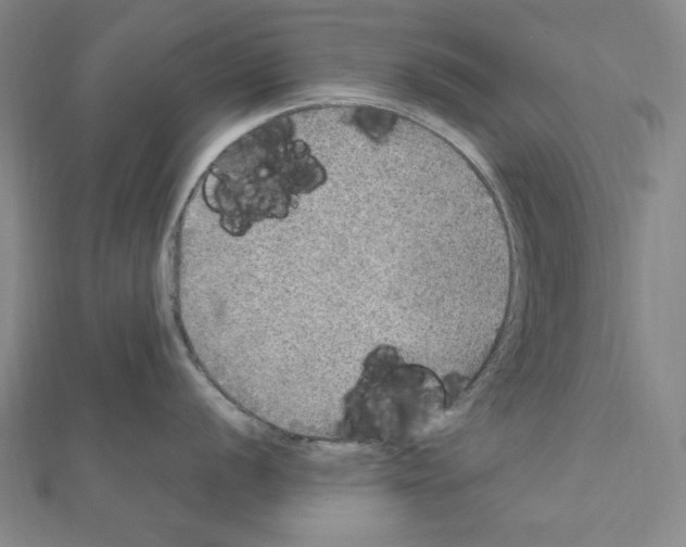 X0000111471056200908241337