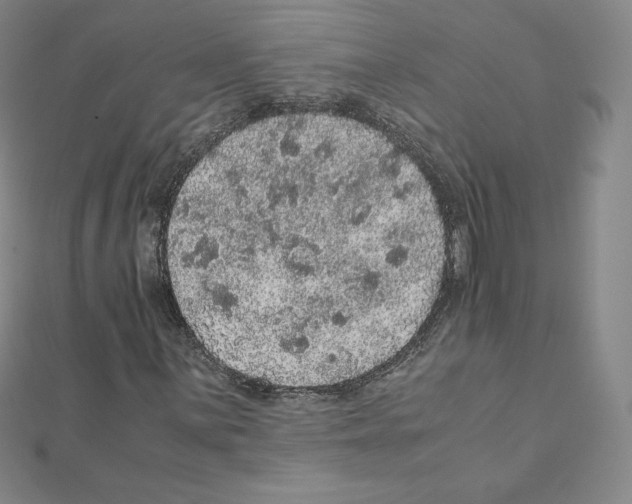 X0000111471059200908241337