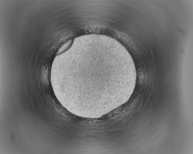 X0000111471060200908241337