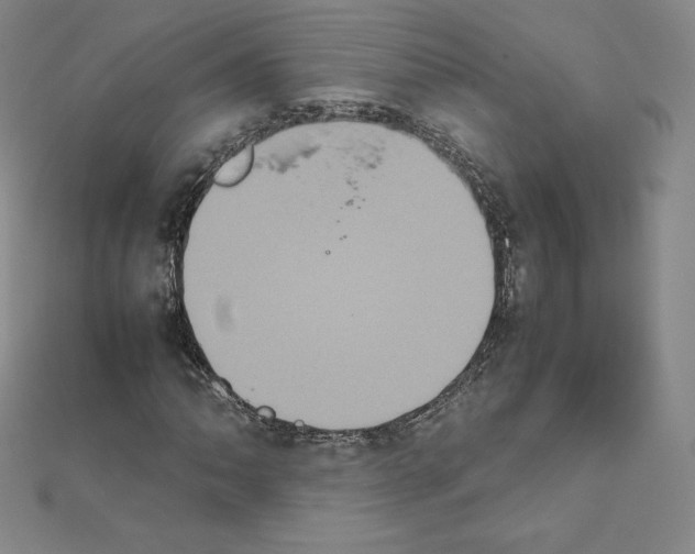 X0000111471062200908241337