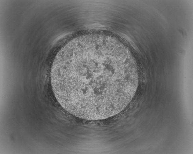 X0000111471063200908241337