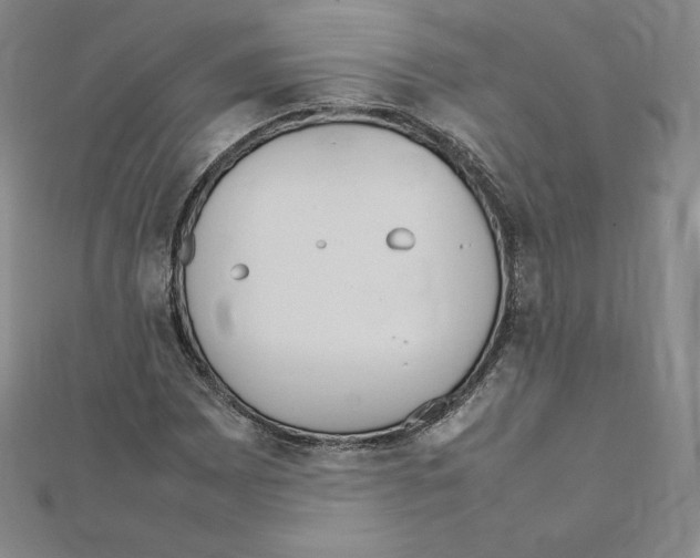 X0000111471065200908241337