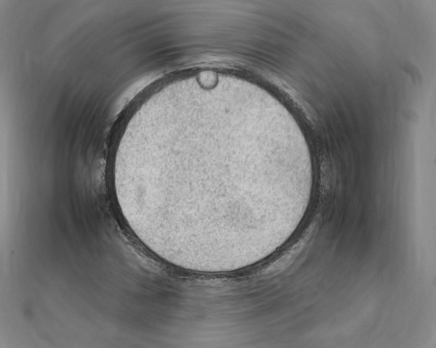 X0000111471066200908241337