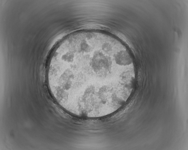 X0000111471067200908241337