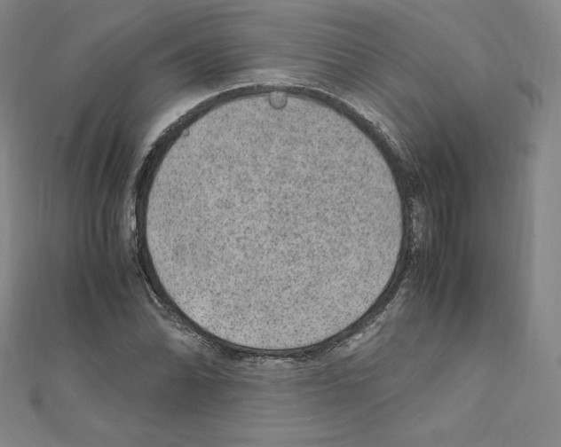 X0000111471070200908241337