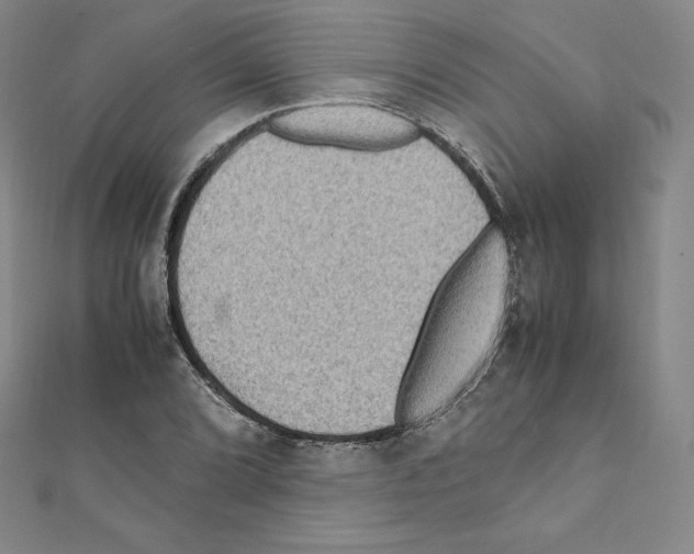 X0000111471072200908241336