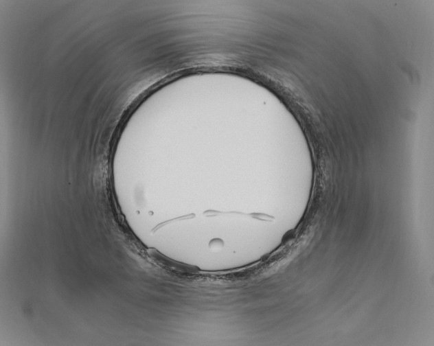 X0000111471073200908241336