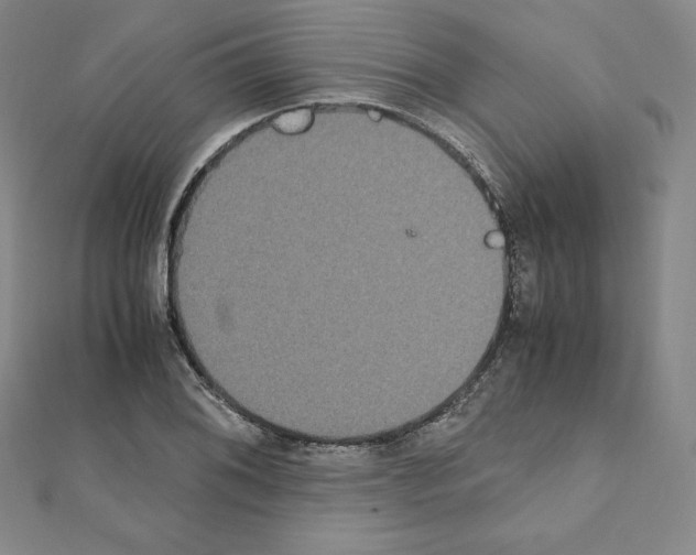 X0000111471076200908241336