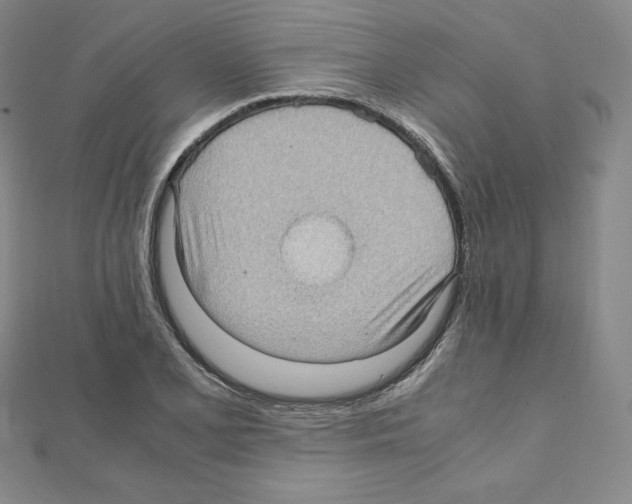 X0000111471077200908241336