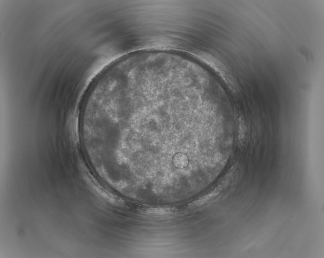 X0000111471078200908241336