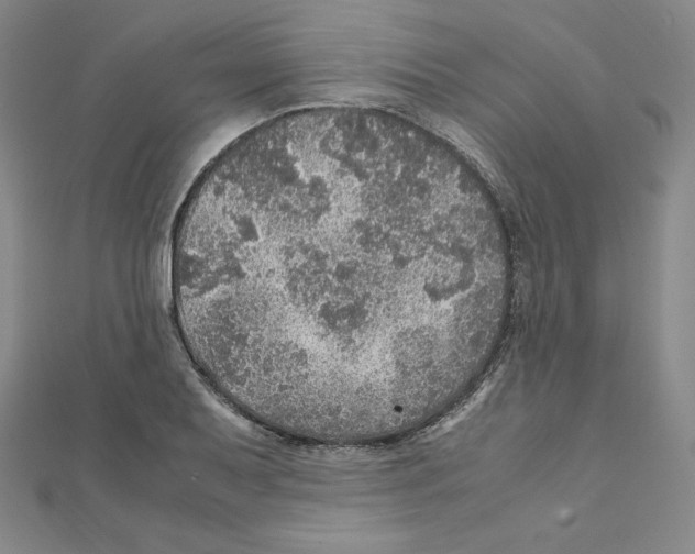 X0000111471079200908241336