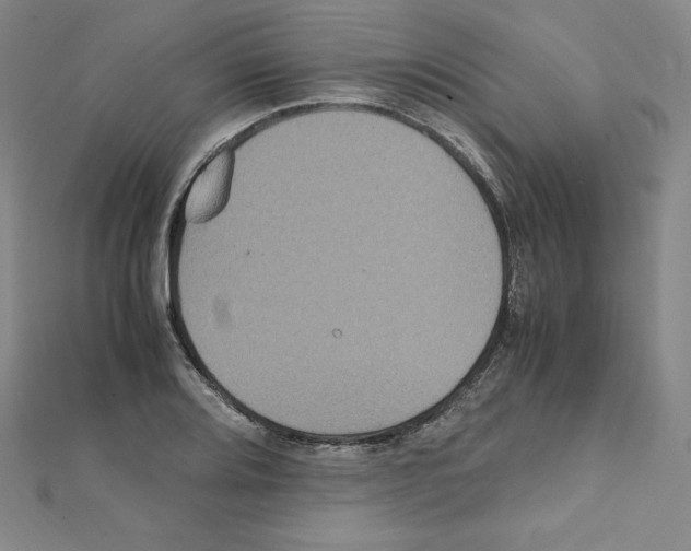 X0000111471080200908241336