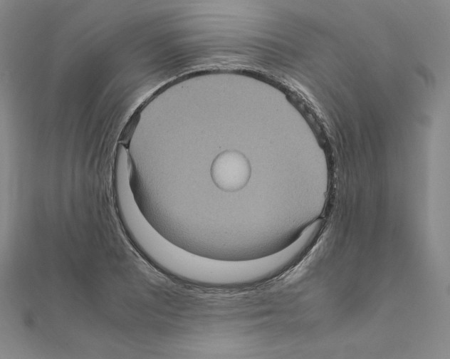 X0000111471081200908241336